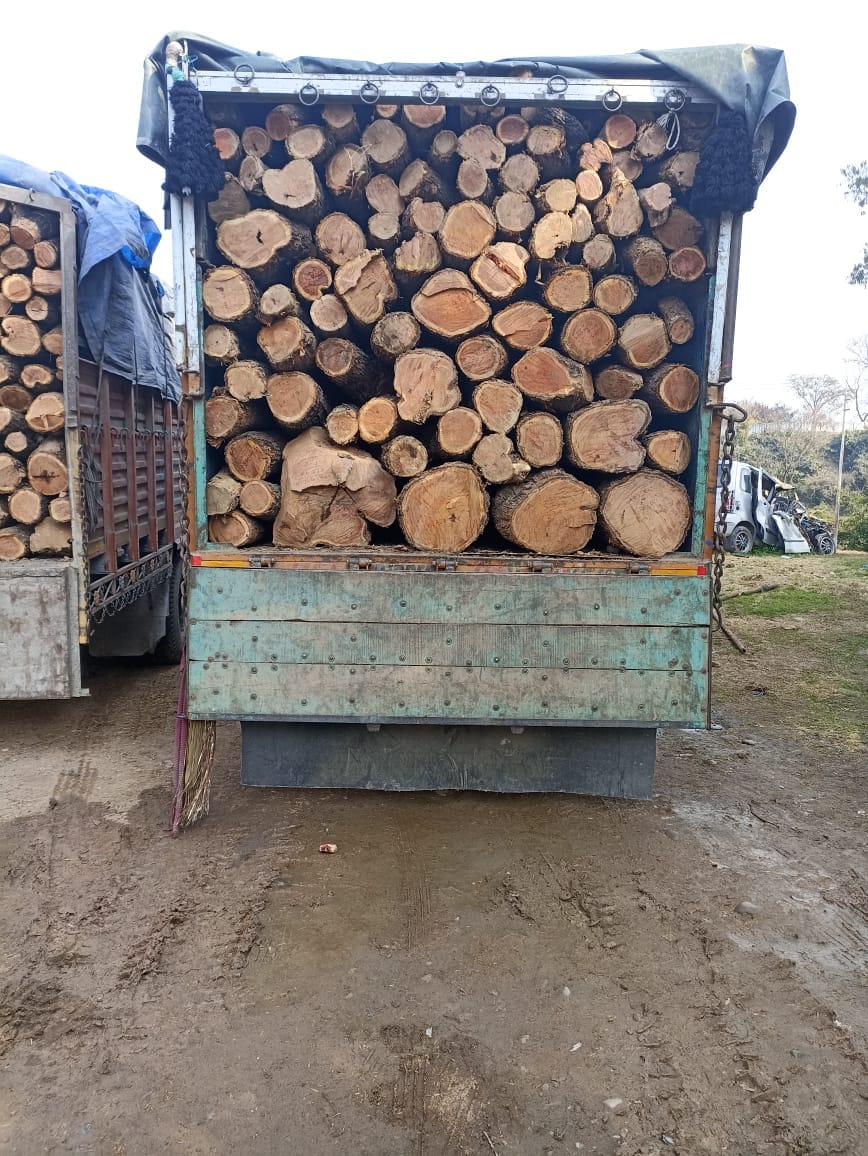 APPROX. 250 LOGS OF KHAIR WOOD RECOVERED/ SEIZED BY KATHUA POLICE IN THE JURISDICTIONAL AREA OF PP RAMKOT ; 04 PERSONS ARRESTED; SEIZED 02 TRUCKS INVOLVED.